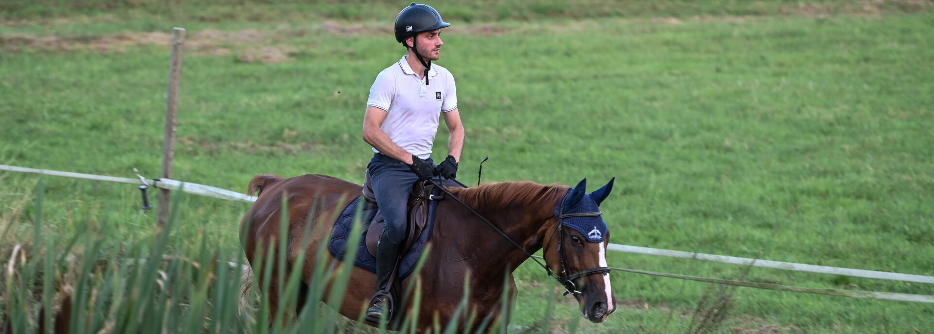 Passeggiate ed escursioni a cavallo